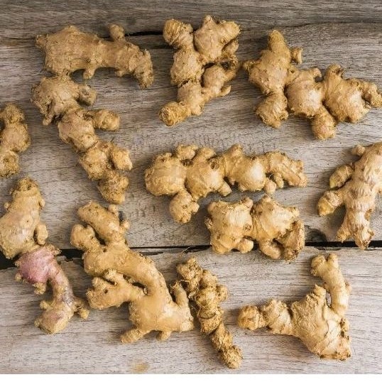 

JAHE EMPRIT SEGAR FRESH 100 GR BERSIH