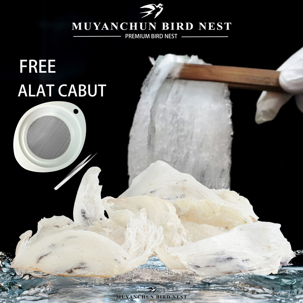 

Sarang Burung Walet PATAHAN Kotor 100% Asli - Harga per Gram, Kualitas Terjamin