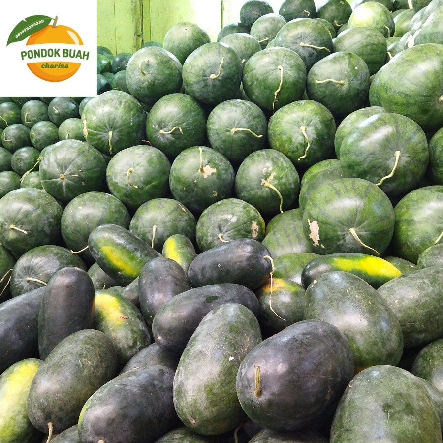 

SEMANGKA TANPA BIJI BERAT 4KILO AN DIJAMIN MANTAP