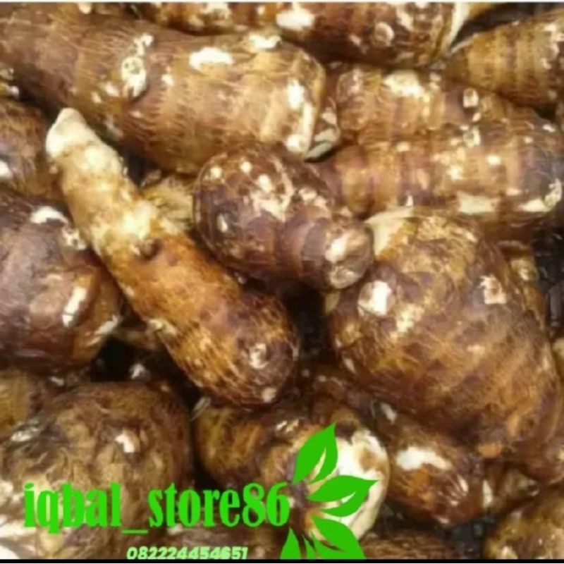 

Promo Umbi talas pulen /1kg