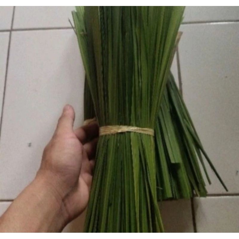 

Daun Alang alang fresh herbal alami,500grm Herbal COD