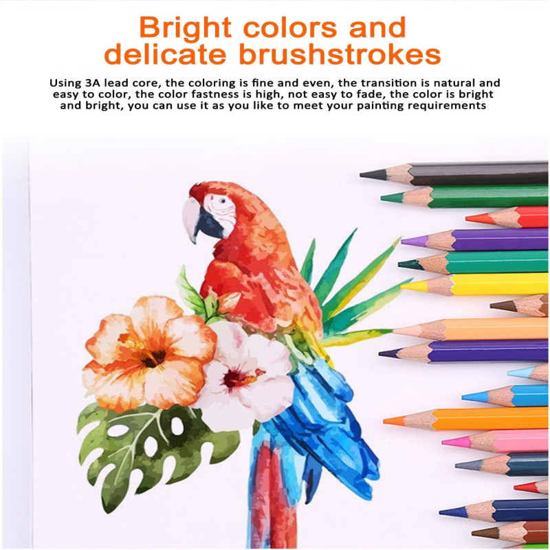 

10 Pack 12 Color Box Drawing Pencil, Assorted Colors Set Of 12 Colors, Gift for Students Teachers Christmas, Office Stationery