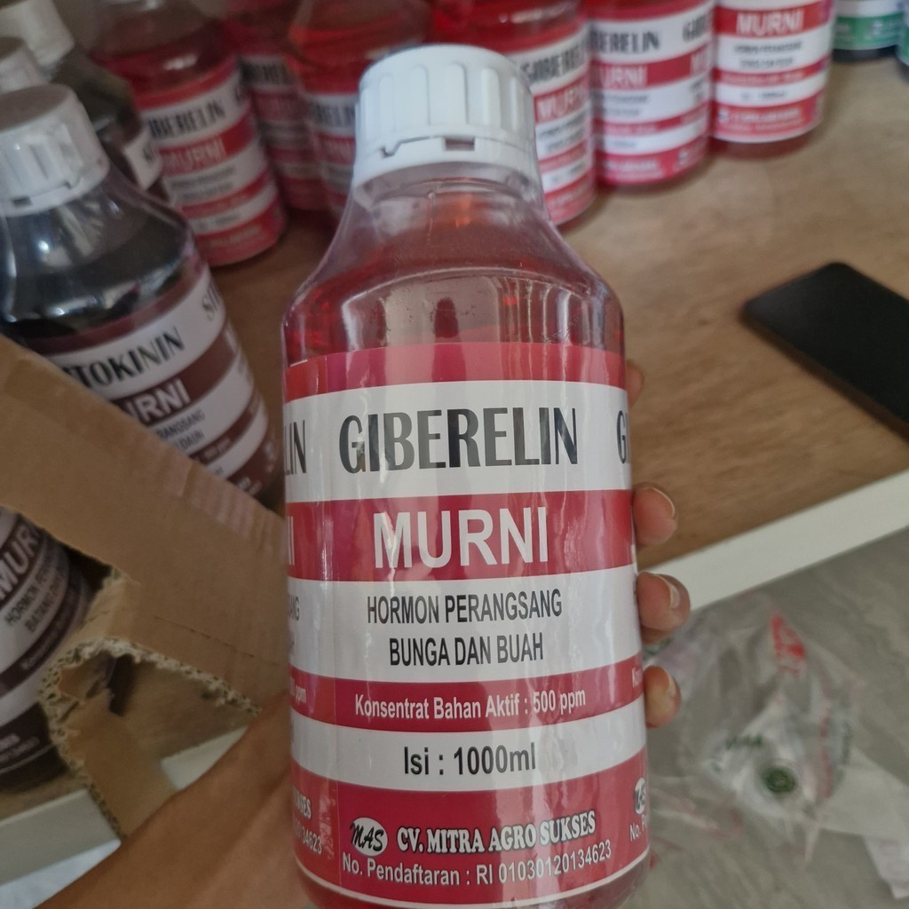 Hormon Giberelin 1 Liter Meningkatkan Bunga Buah dan Hasil Panen