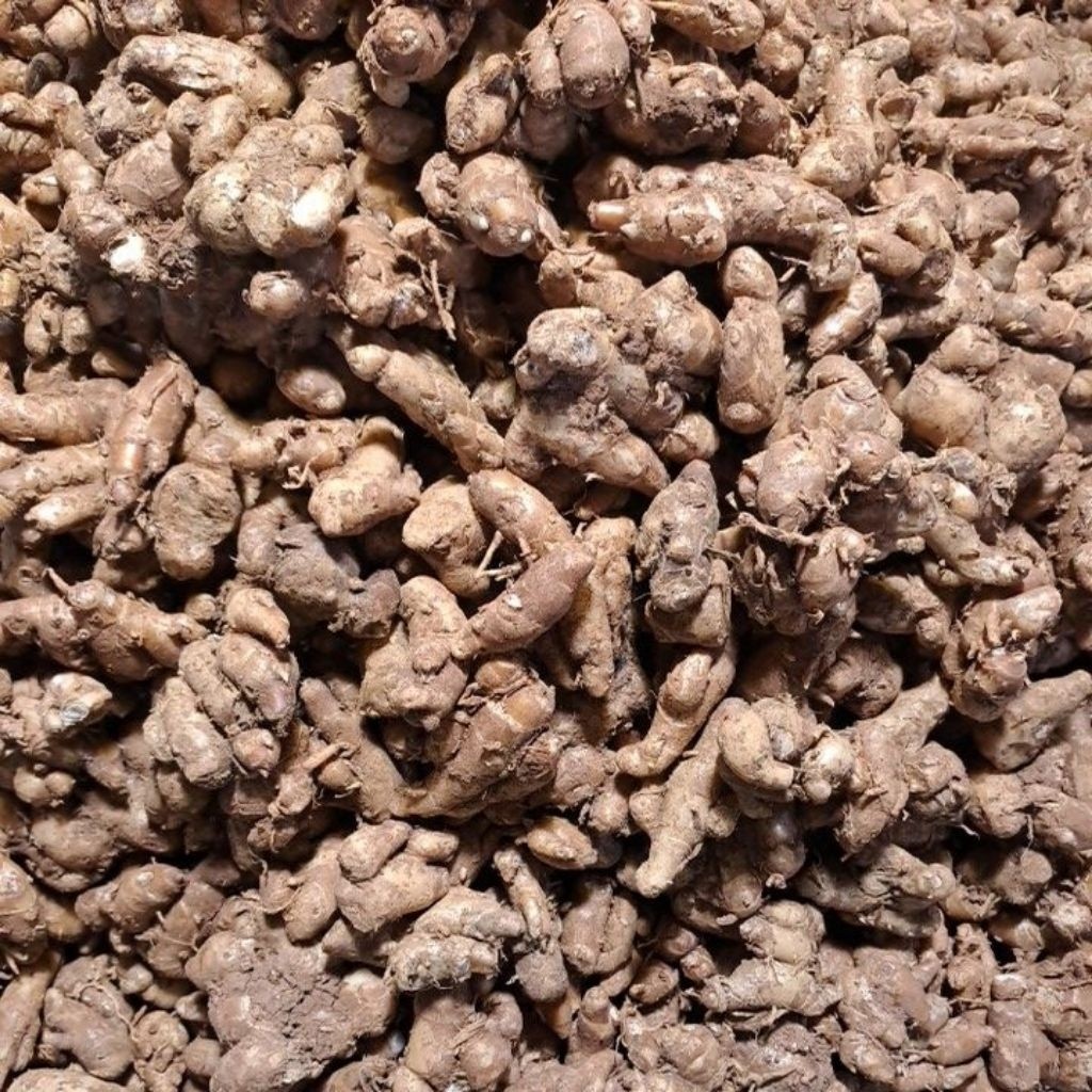 

Cikur Kencur 1/2 ons Bandung