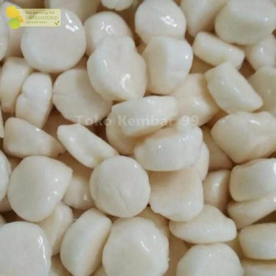 

Kerang Simping Segar 1Kg Scallop Simping Daging Kerang Simping Segar