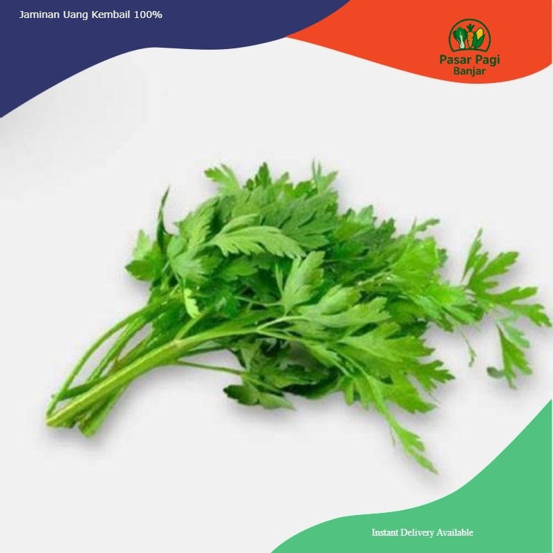 

Seledri Per Ikat Kecil / Daun Sop Ikat Kecil