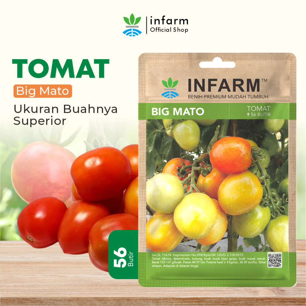 INFARM - Bibit Tomat Big Mato Bibit Tomat Buah Besar Benih Tomat Biji Tomat Bibit Tomat Hibrida