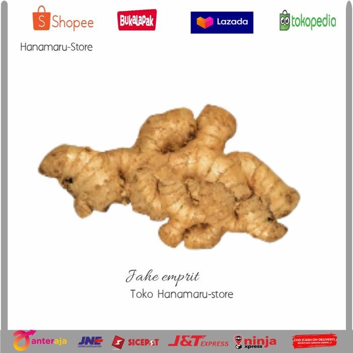 

Jahe Emprit Dampit Segar l Herbal Jahe 500gram l Obat Herbal & Rempah