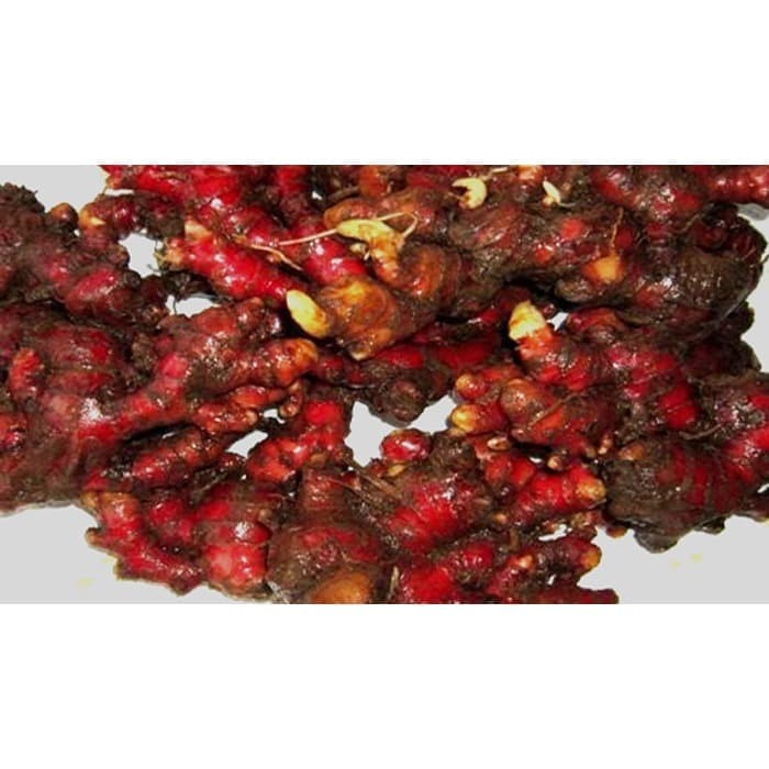 

Jahe Merah Fresh 500 gram