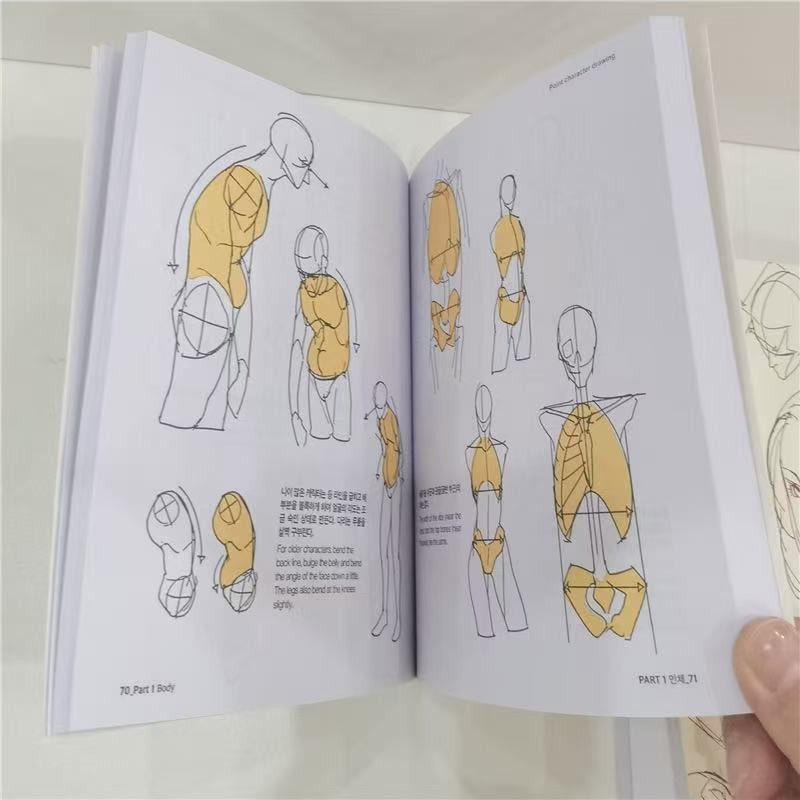 

Korean Painter's Animation Character Quick Qrawing Art Book Bilingual English and Korean : POINT CHARACTER DRAWING TACO Book