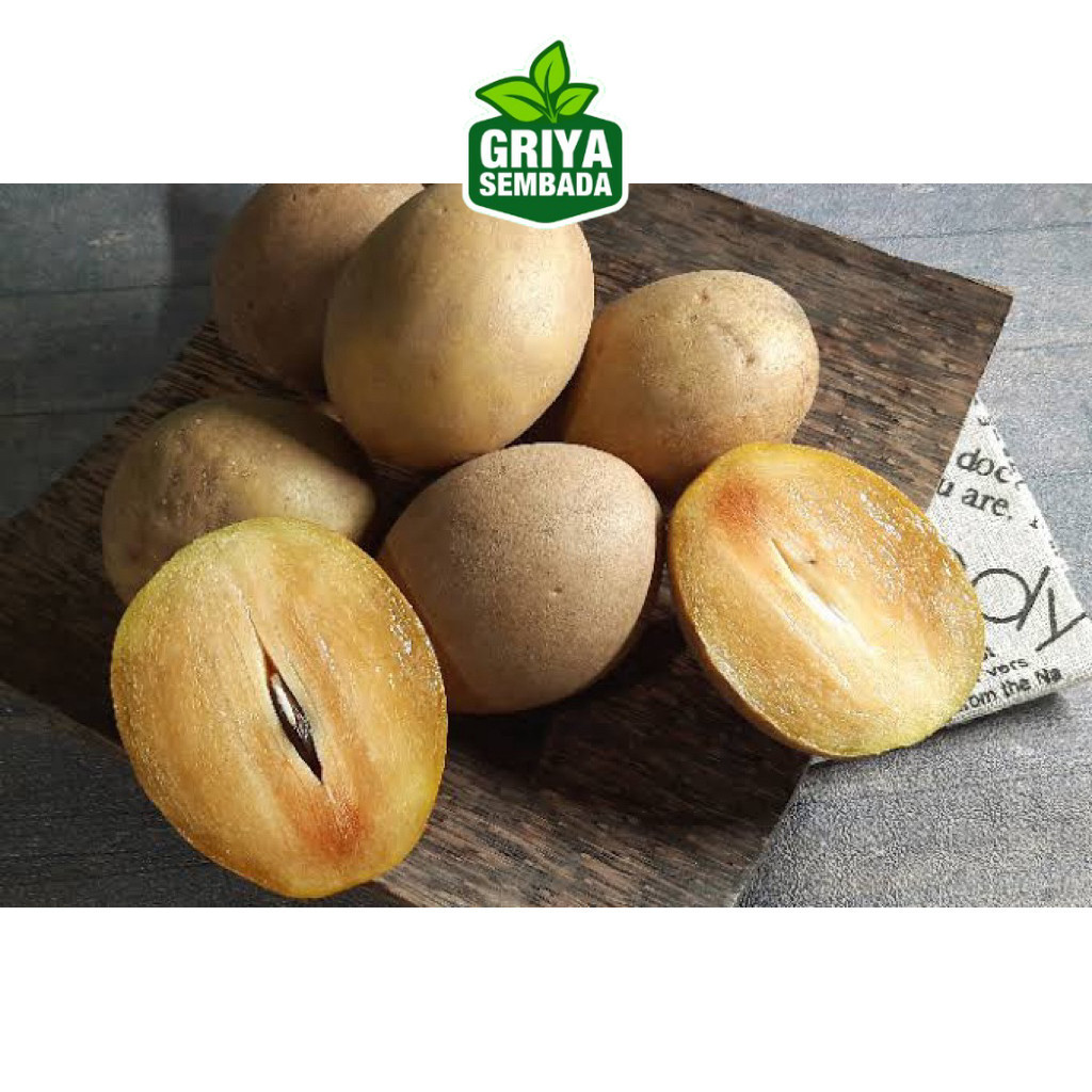 

INSTANT - Sawo Madu 500 gram Griya Sembada