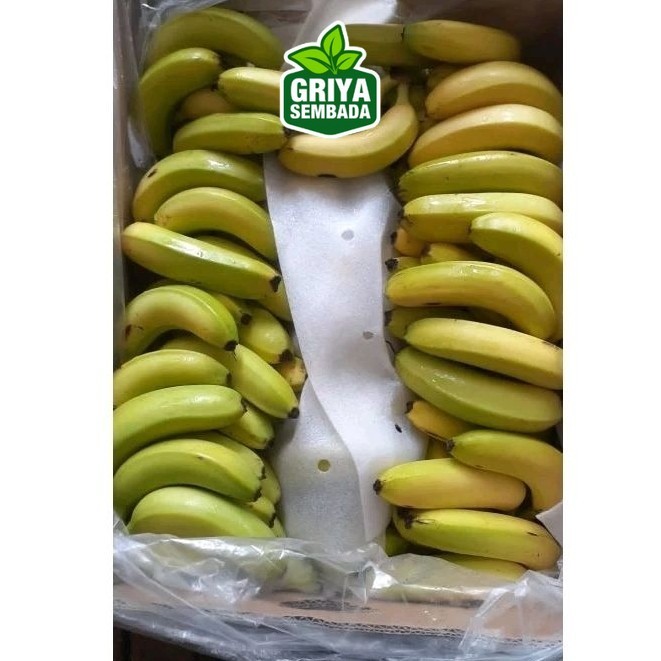

Indukbuah Buah Pisang Sunpride Fs Size Kecil ±100 1 Dus 13kg Griya Sembada