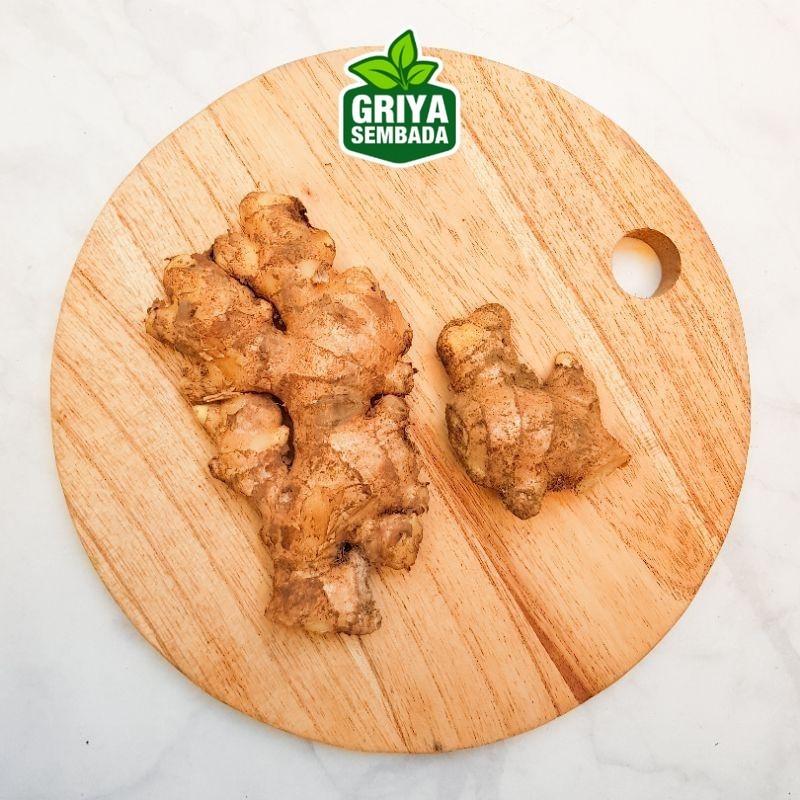 

Kirim Instan Jahe Putih Segar 200gr Griya Sembada