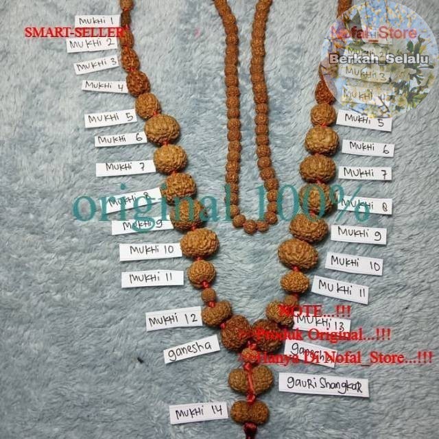 JENITRI TASBIH SIDHAMALA RUDRAKSHA URUTAN MUKHI 1 - 14 TASBEH Berkah_Selalu