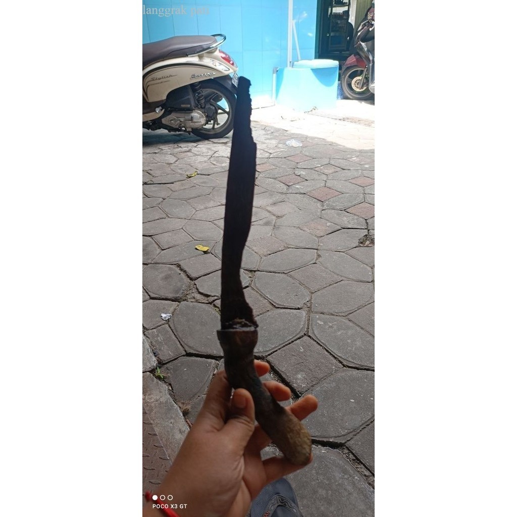 badik sepuh kediri keleng wingit milik kameswara bk megantara sengkela antik