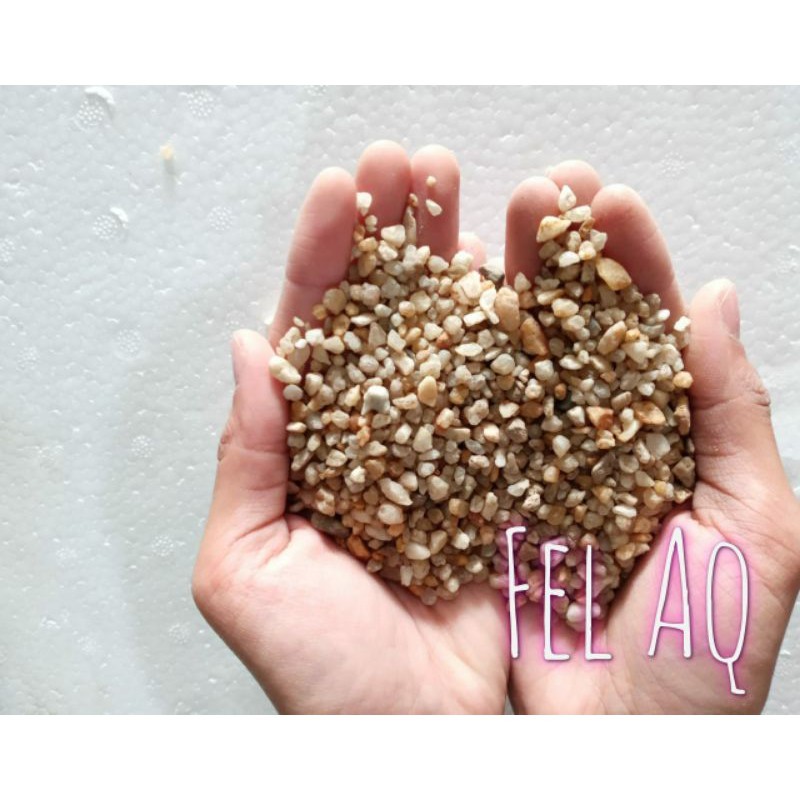 Pasir Silica Coklat 1kg Hiasan Aquarium Aquascape Silika