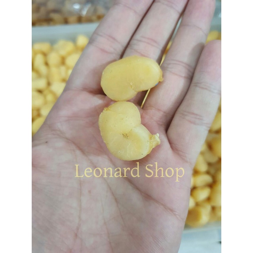 

Scallop Kering Indonesia Dried Ganbei Kerang Conpoy Dry Seafood 100gm - Super A