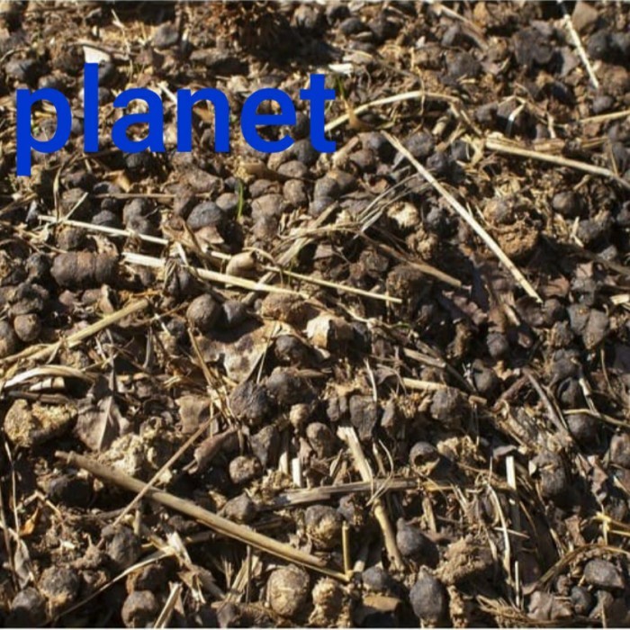 pupuk kambing / pupuk kotoran kambing kering / kotoran kambing kering