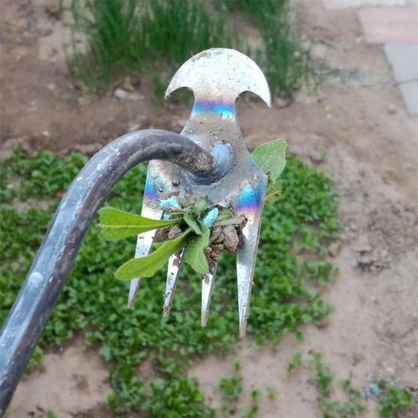 Garu Cangkul Alat Penyiangan Pencabut Akar Rumput Tanaman Liar Harrow Hoe Puller Berkebun Pertanian