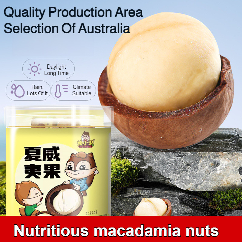 

⭐COD⭐Kacang Macadamia Berbiji Besar Dengan Rasa Susu/Kacang Macadamia Kaleng Mini Halal/Camilan Kacang Macadamia/Camilan Sehat Dan Lezat/Snacks Food Cemilan Tanpa Tambah/Gurih Dan Lezat Dengan Rasa Susu Yang Kaya