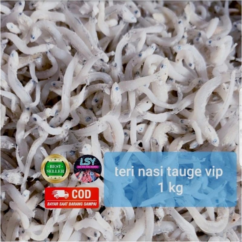 

new offer ikan asin tn tauge vip / teri nasi size jumbo 1kg