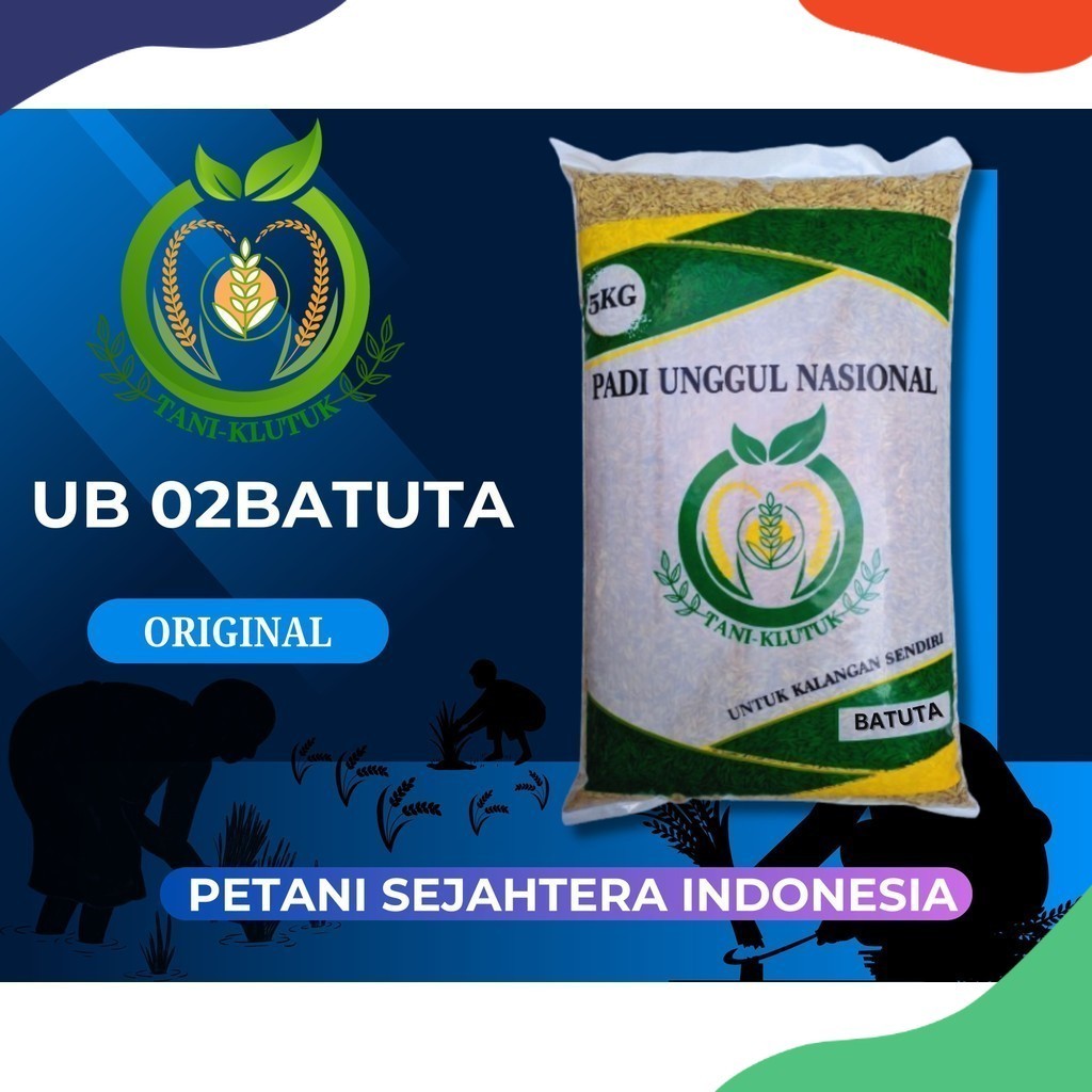 bibit biji padi batuta 5kg TANI KLUTUK