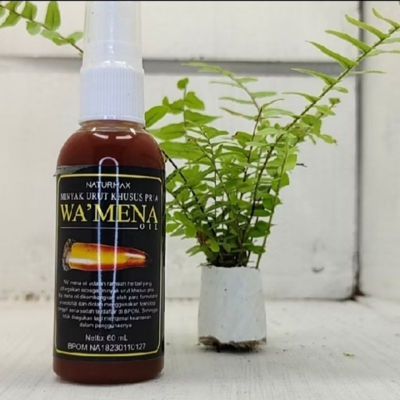 Tamochi Herbal - Minyak Wamena daun 3 jari original 100% Papua, pembesar M r