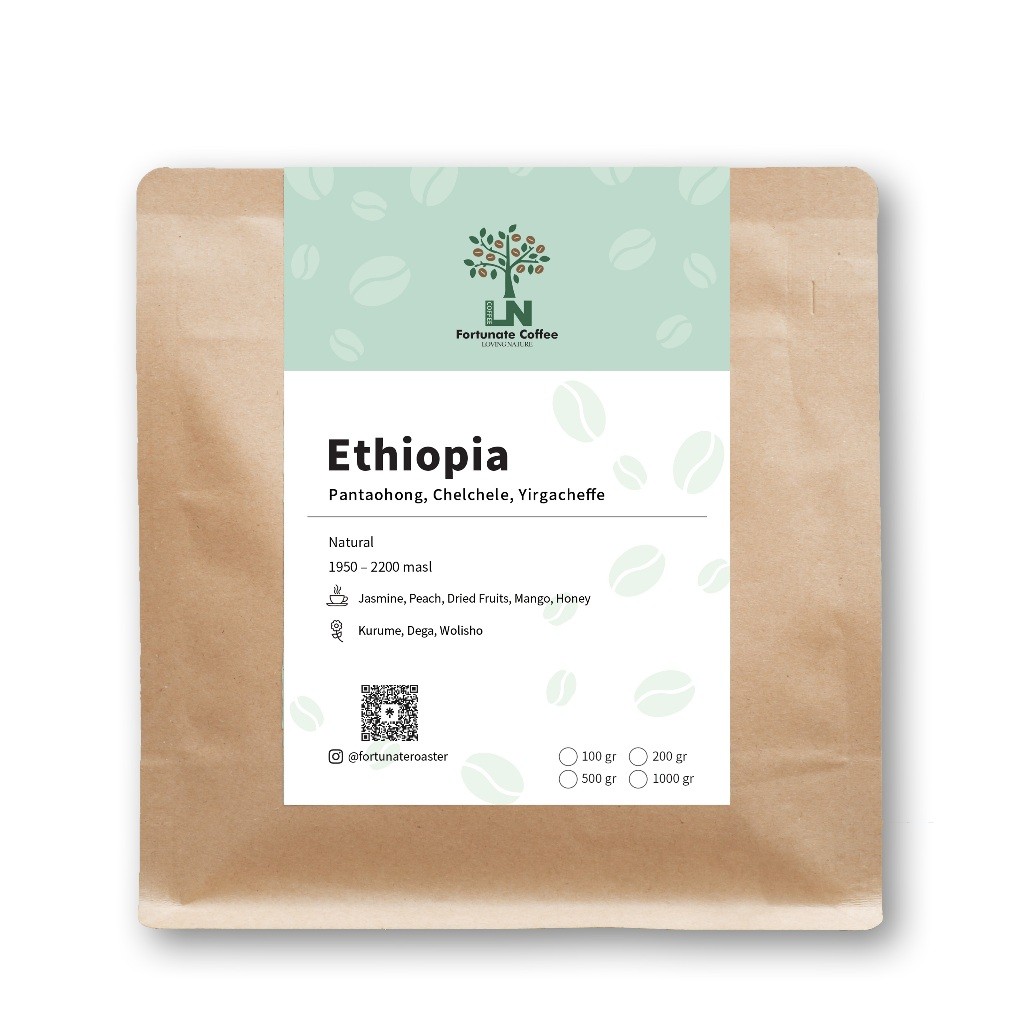 

Ethiopia Natural Pantaohong Chelchele Yirgacheffe Biji Kopi Arabika Roasted Coffee Beans 500 gram