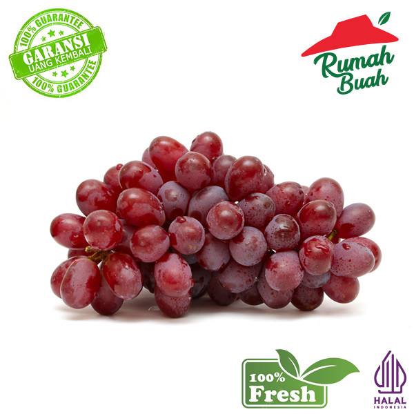 

BUAH ANGGUR RED GLOBE AUSTRALIA 500 gram 1kg [RUMAH BUAH] BEST SELLER