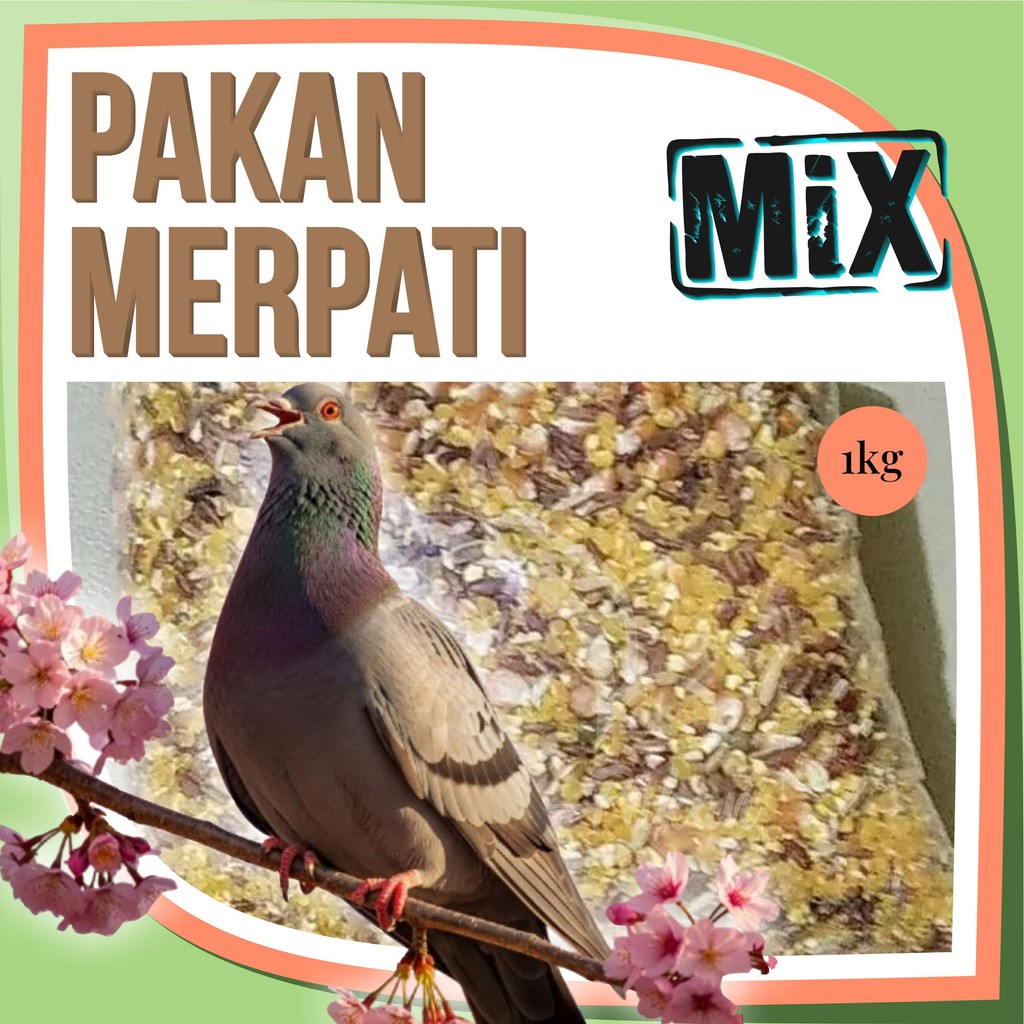 Pakan Burung Merpati 1Kg Premium Super Beras Merah Jagung Giling Kristal Kacang Hijau Ketan Hitam