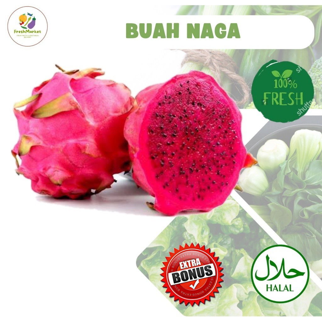 

Buah Naga Merah Dragon Fruit Segar Sayurinstant