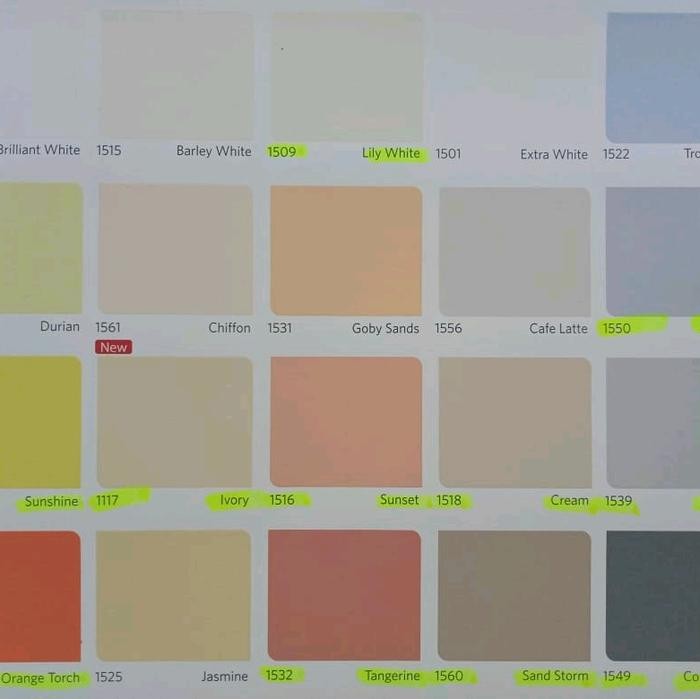 Cat tembok Qluc 4,5kg cat Nippon paint qluc kemasan 5kg - white