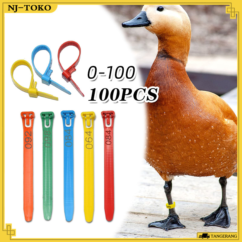 100PCS Ring Kaki Ayam Untuk 10~28MM Adjustable Cincin Kaki Ayam Bangkok Reusable Bahan PP