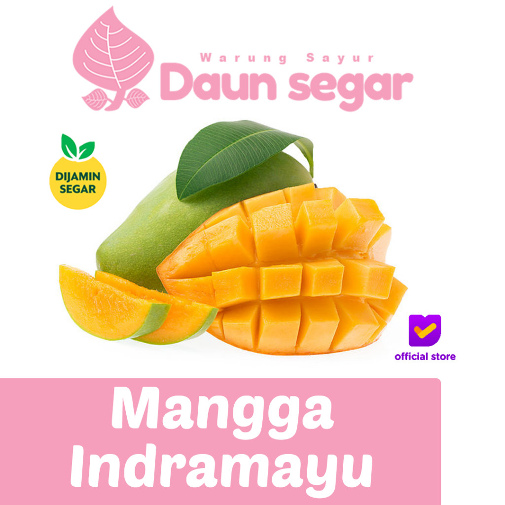

Mangga Indramayu Matang Pohon 1kg Daging Tebal Manis & Aroma Harum - Daunsegar