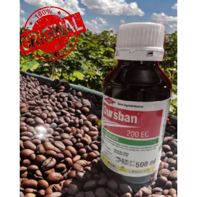 TERLARISInsektisida Dursban 500Ml