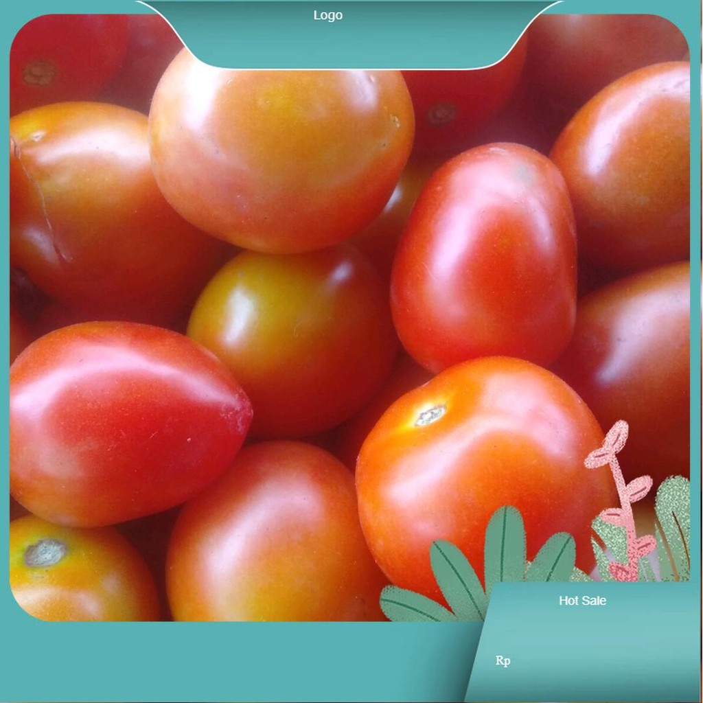 

tomat jagung manis mentah jagung buat di bakar di rebus di masak Masakan