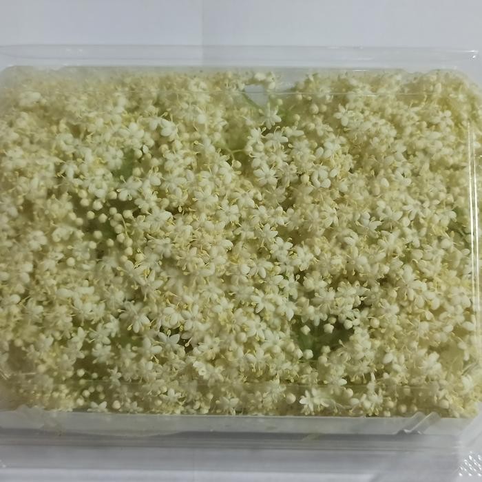 

Promo Edible Flower Elder fresh