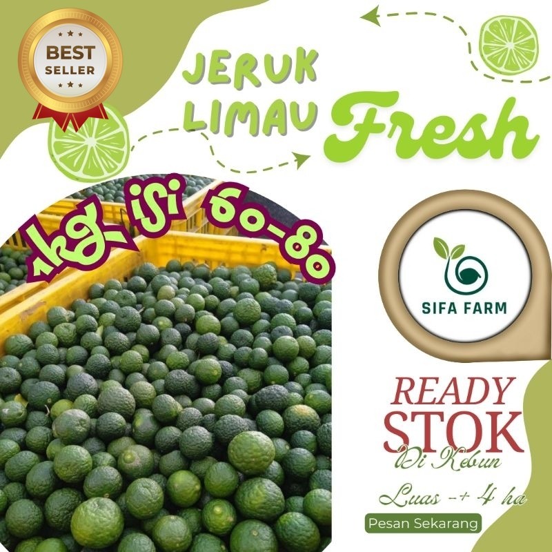

SIFA FARM | Jeruk limau/limo/sambal/pecel Ukuran Besar 1 kg | Dipetik dikebun Sendiri
