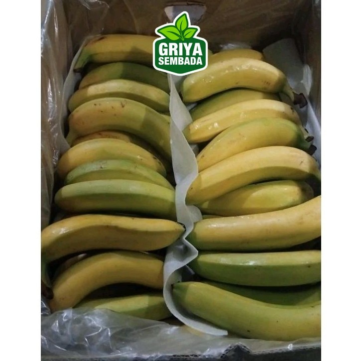 

Indukbuah Buah Pisang Sunpride Size Besar ±70 1 Dus 13kg Griya Sembada