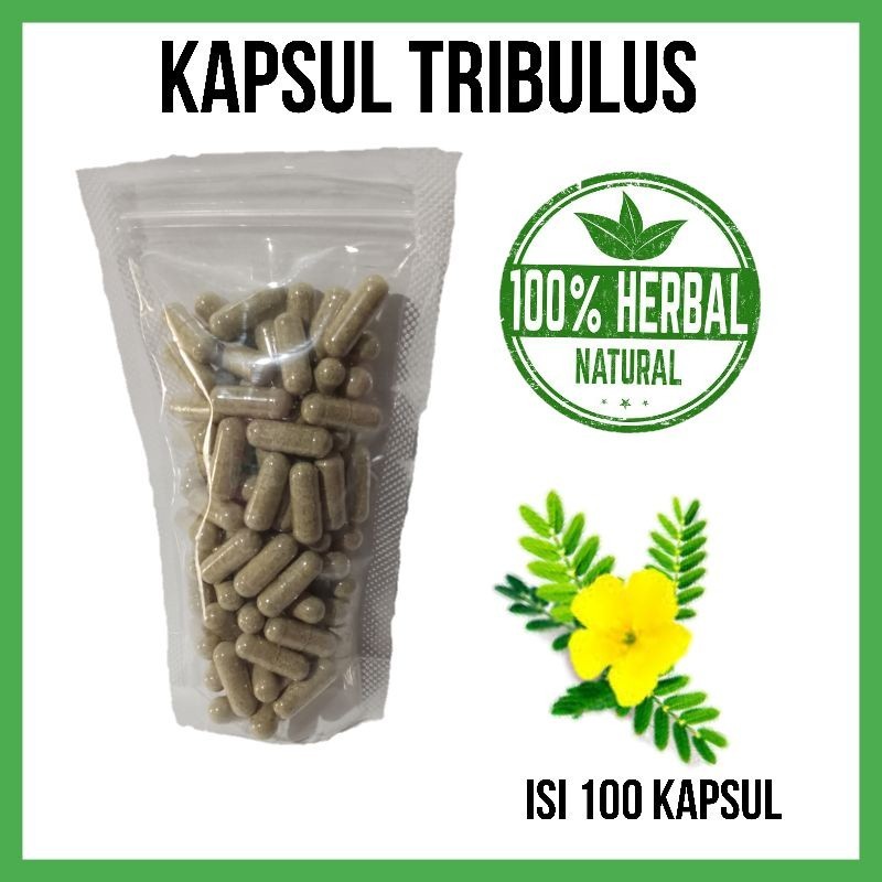 ASOHA Tribulus Pouch isi 100 Kapsul Original - Herbal Alami Pendukung Vitalitas Pria