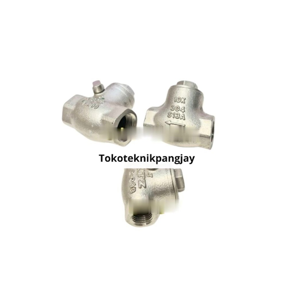 Swing Check Valve KITZ Drat SS 1 inch / DN 25