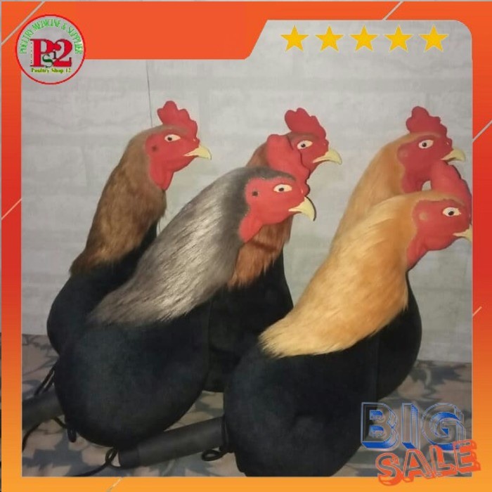 Boneka Ayam kepala Ayam jago aduan - Melatih fisik ayam aduan