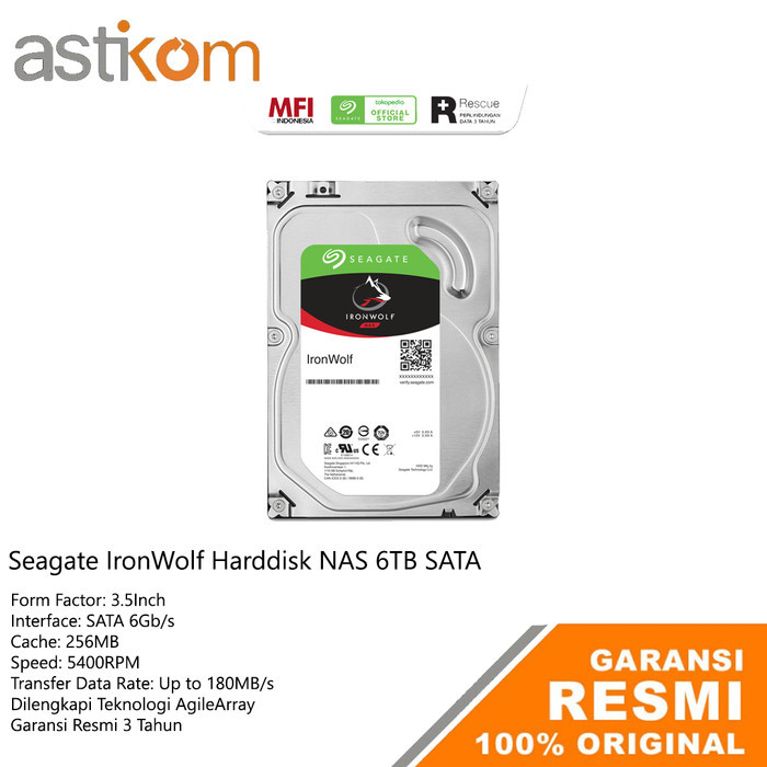 Harddisk NAS 6TB Seagate IronWolf HDD NAS HDD SERVER