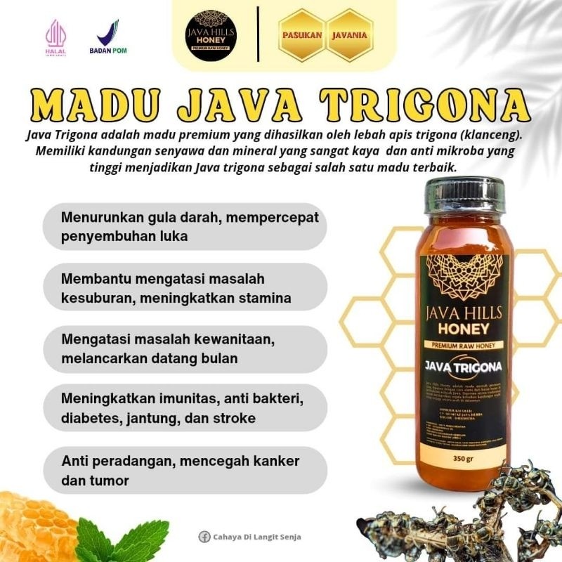 

Madu Murni Java Hills Madu Java Trigona