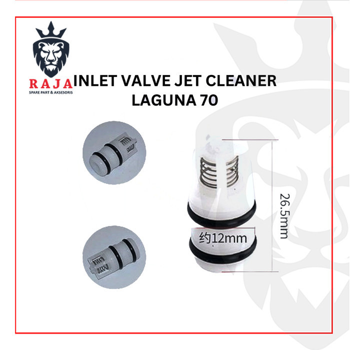 Inlet Valve Jet Cleaner Laguna 70 - Lakoni