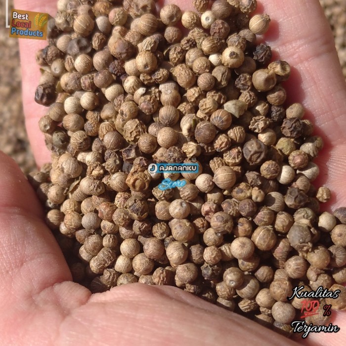 

cocoonrebirth Lada Putih Butir 1 Kg Lada Putih Biji White Paper 1 Kg Murah - 1/2 Kg, Gelap