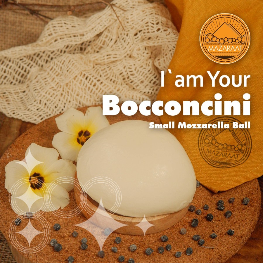 

Bocconcini cheese (Pasta Filata) Mazaraat