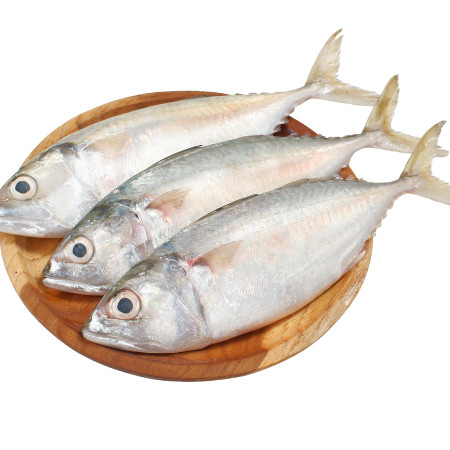 

New Ikan Kembung Lokal Fresh 500grPremium