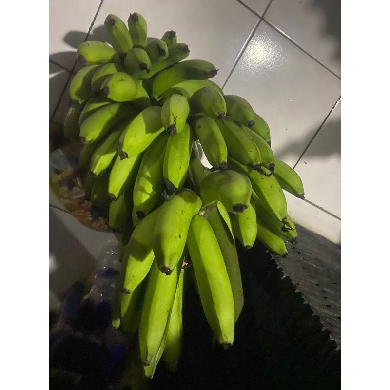 

Buah Pisang Mentah TWN BR 5 Pisang Bangkaulu Fresh