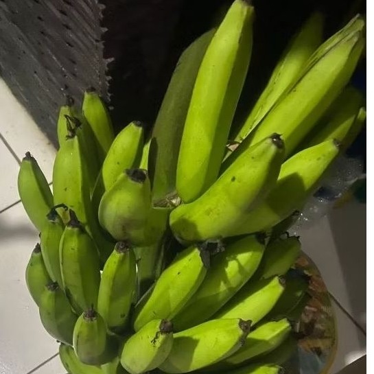 

Buah Pisang Mentah TP FV KG Pisang Bangkaulu Fresh